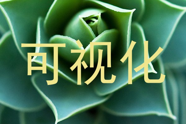 可视化