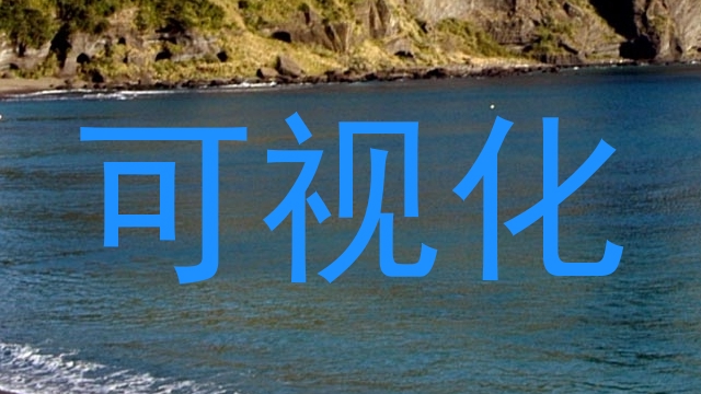 可视化