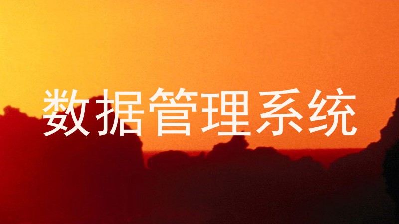 数据管理系统