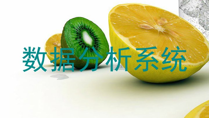 数据分析系统