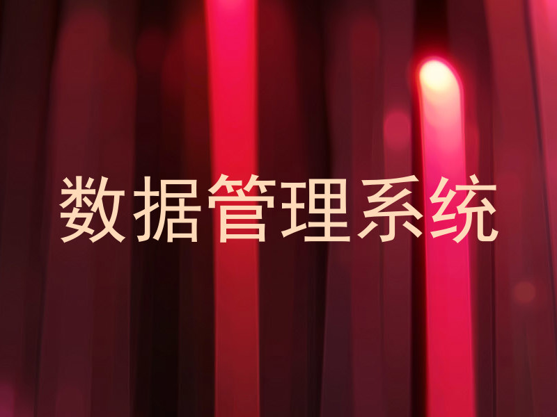 数据管理系统