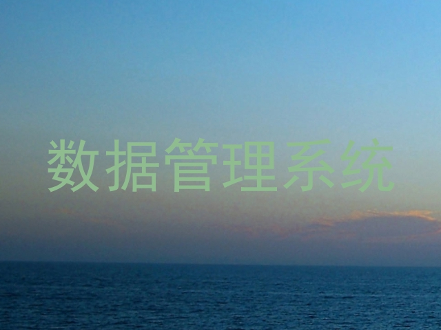 数据管理系统