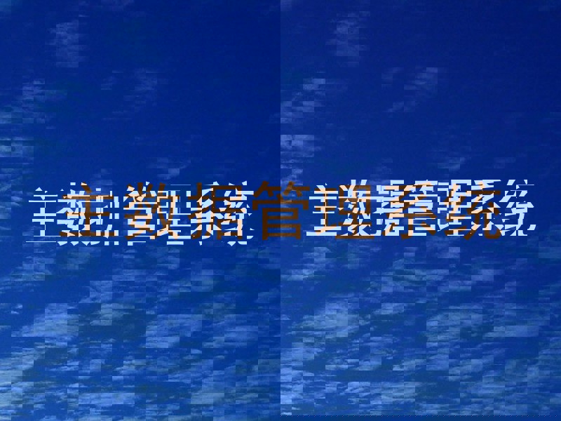 主数据管理系统