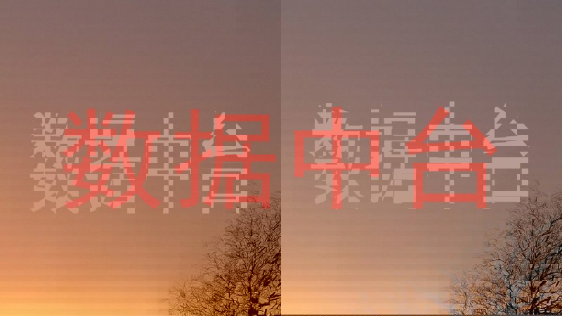 数据中台