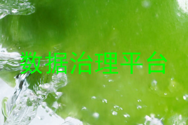 数据治理平台