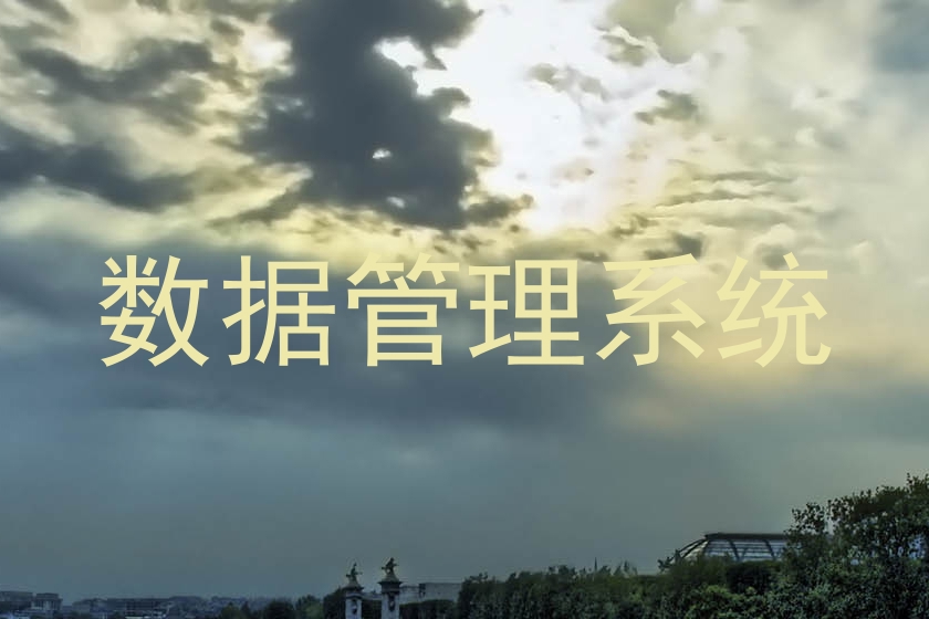 数据管理系统