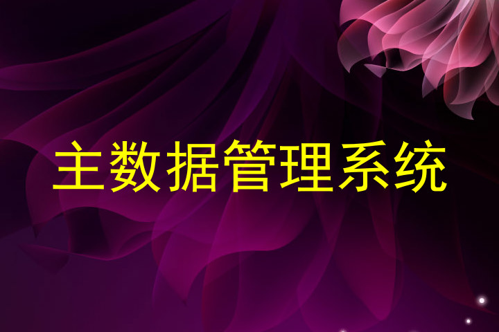 主数据管理系统