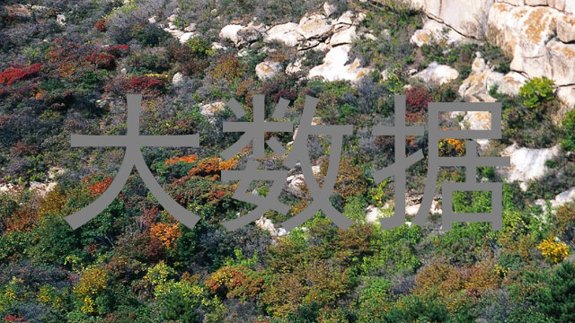 大数据