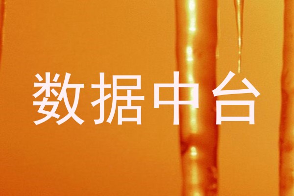 数据中台