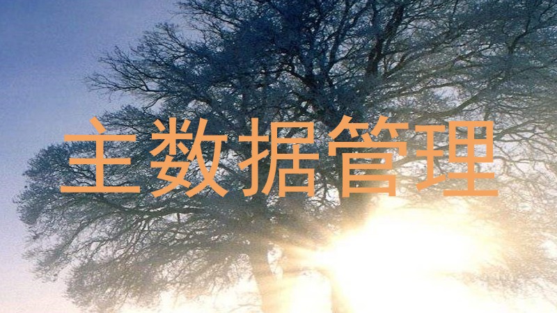 主数据管理