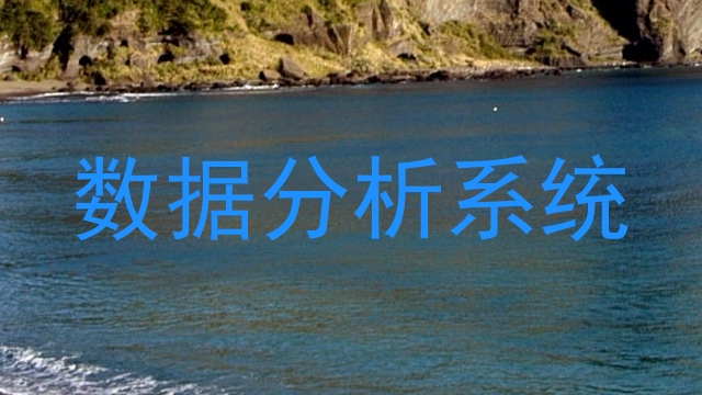数据分析系统