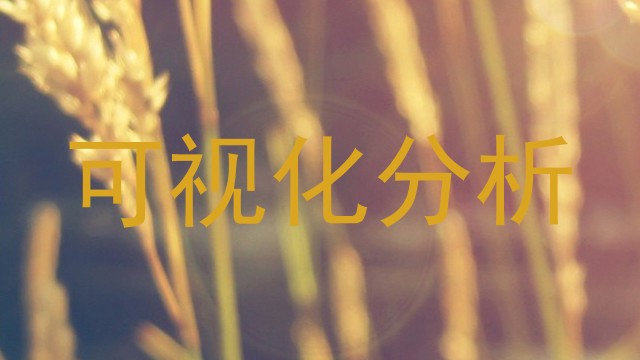 可视化分析