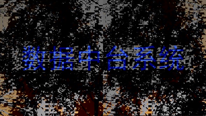 数据中台系统