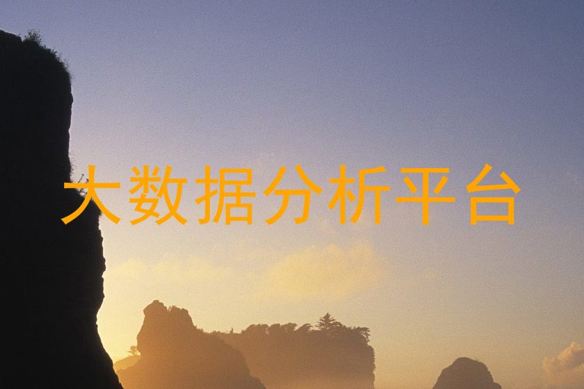 大数据分析平台