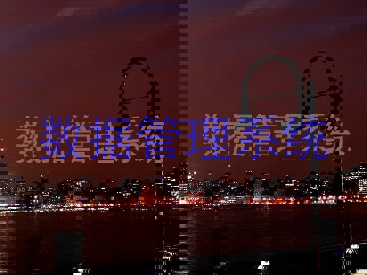 数据管理系统