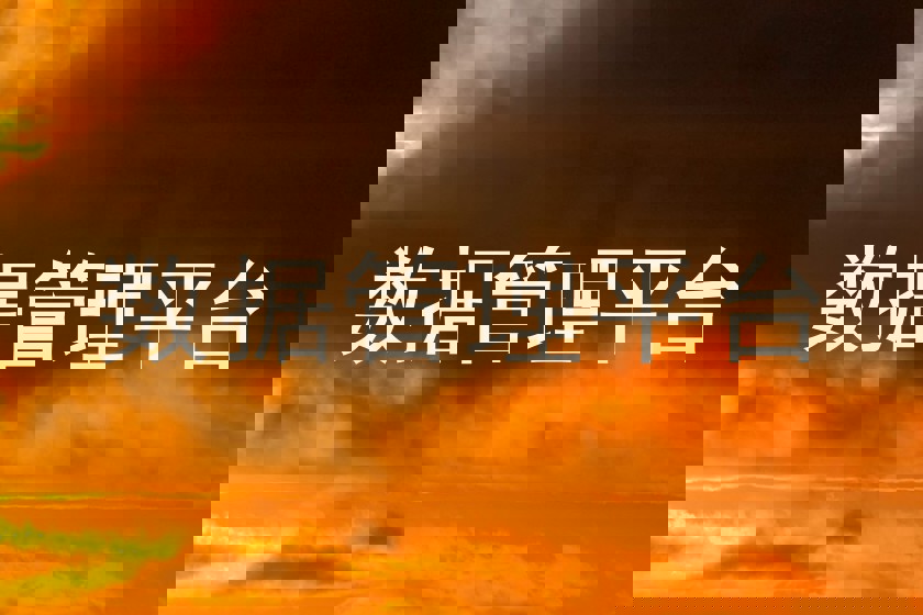 数据管理平台