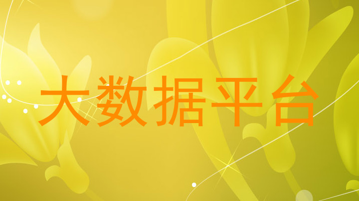 大数据平台