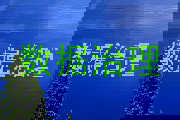 数据治理