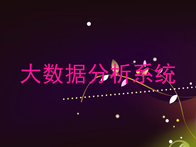 大数据分析系统