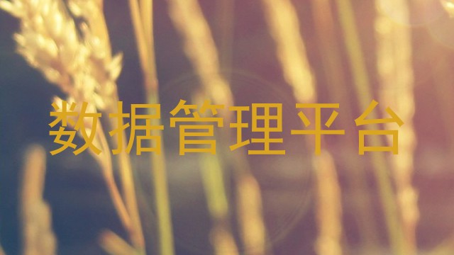 数据管理平台