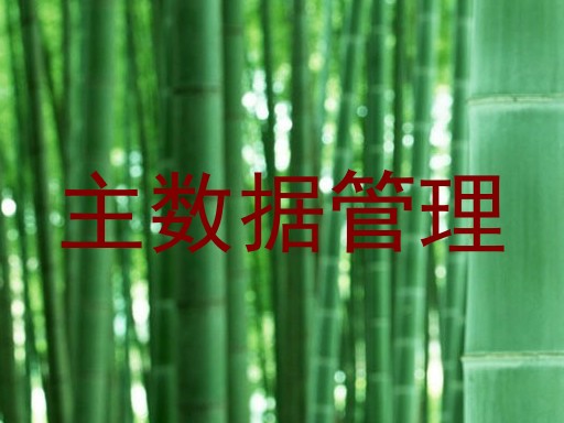 主数据管理