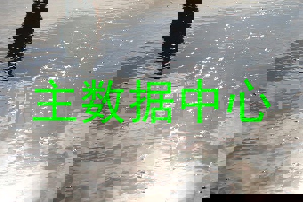 主数据中心