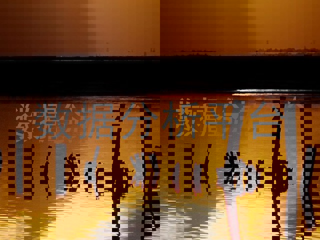 数据分析平台