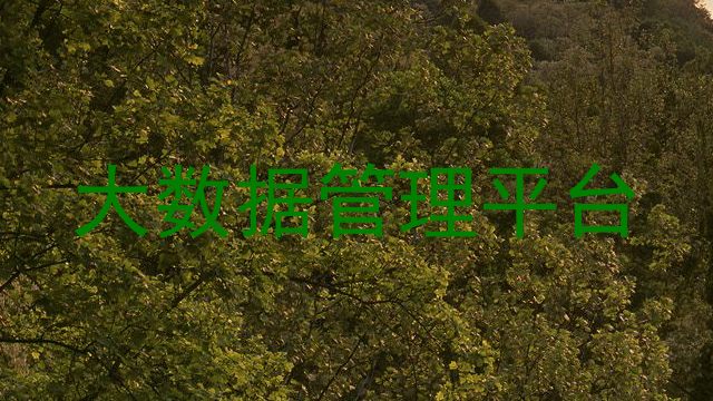大数据管理平台