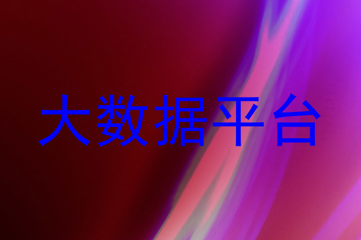 大数据平台