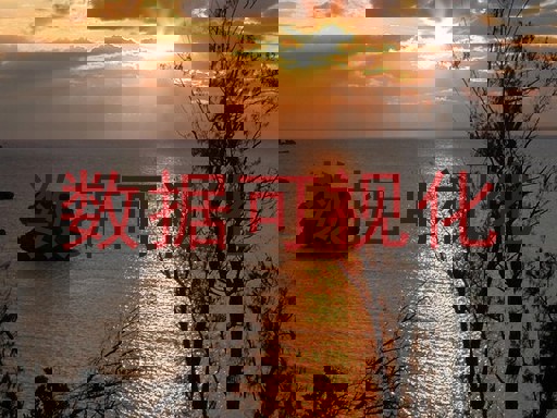 数据可视化