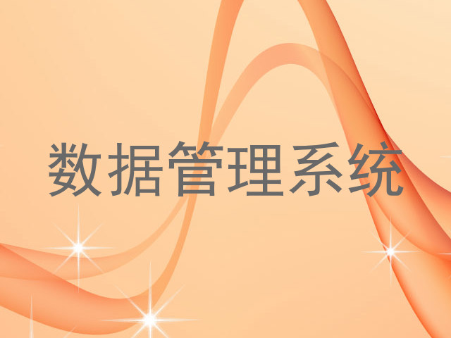 数据管理系统