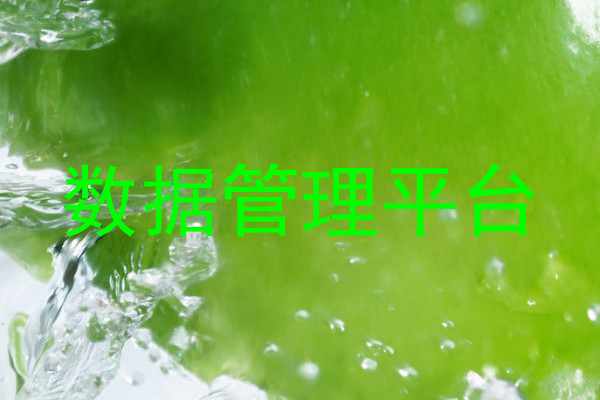 数据管理平台