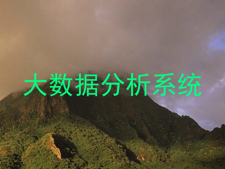大数据分析系统