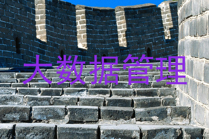 大数据管理