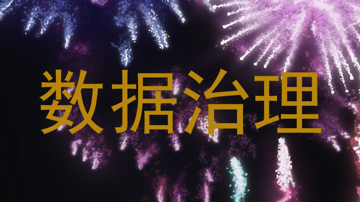 数据治理
