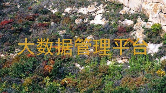 大数据管理平台