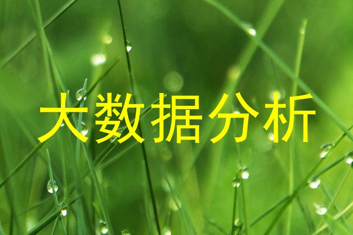 大数据分析