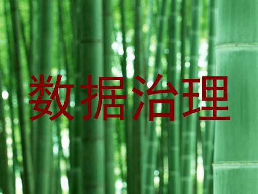 数据治理