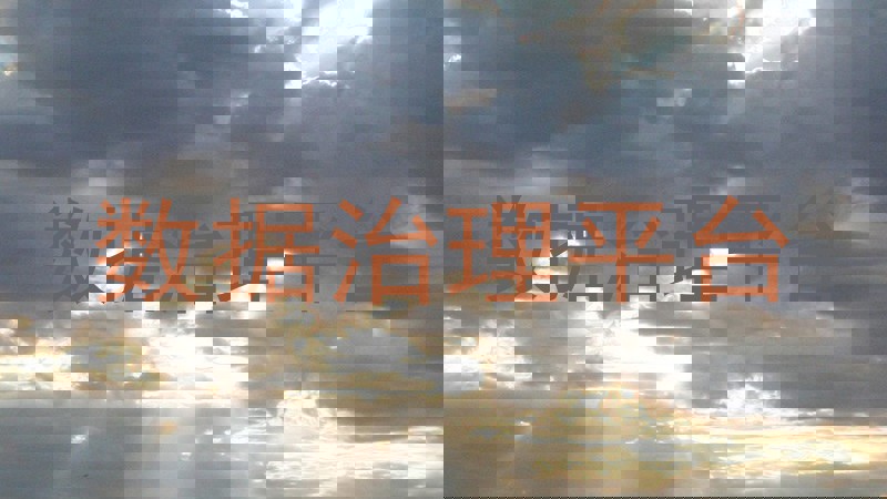 数据治理平台