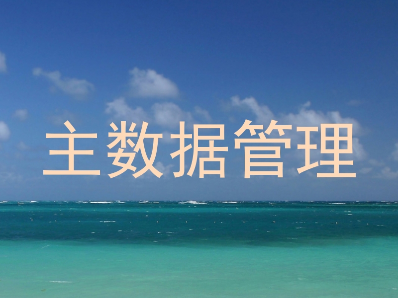 主数据管理