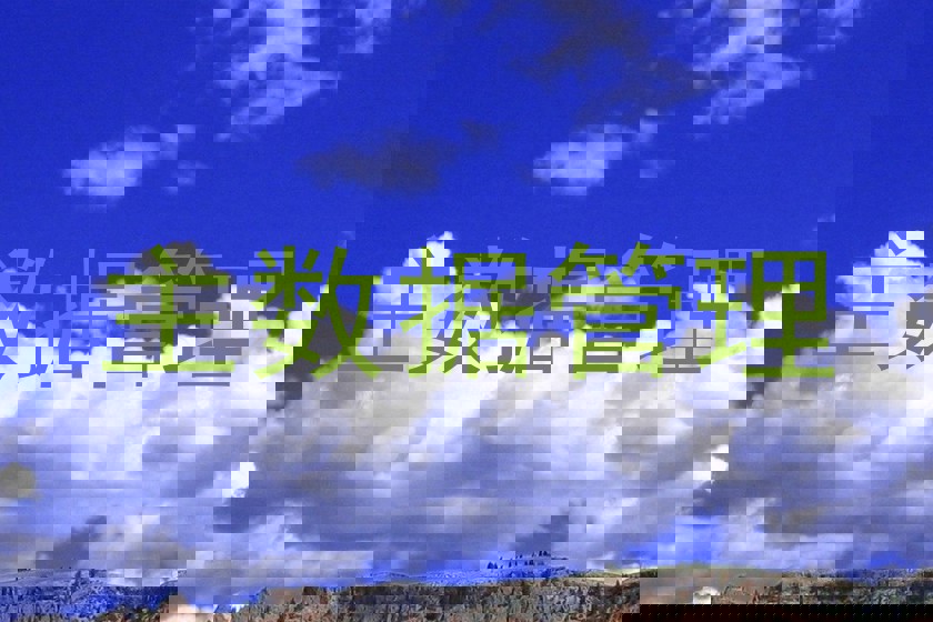 主数据管理