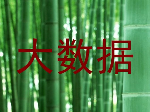 大数据