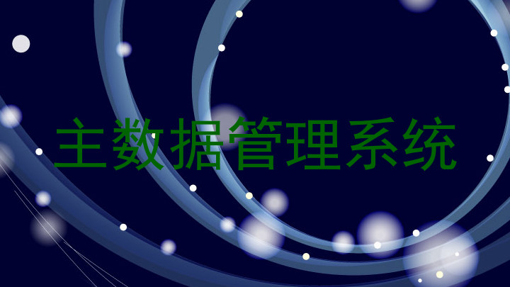 主数据管理系统
