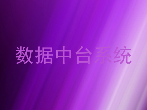 数据中台系统