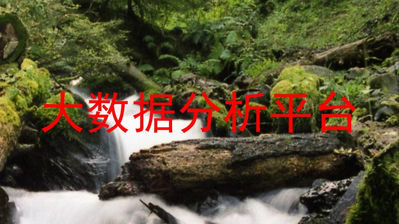 大数据分析平台