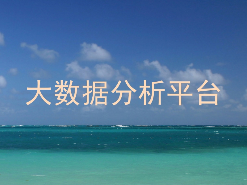 大数据分析平台