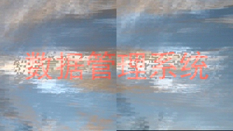 数据管理系统