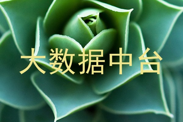 大数据中台