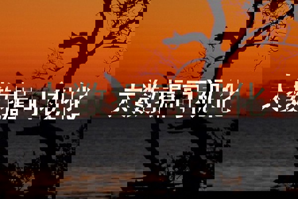 大数据可视化