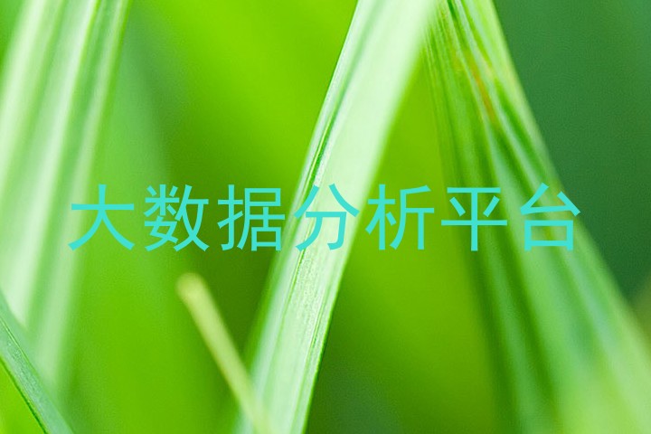 大数据分析平台